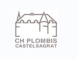 Chateau Plombis is a  World Class Wedding Venues Gold Member