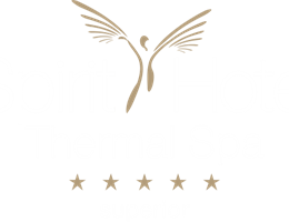 Superior Spirit Hotel Thermal Spa is a  World Class Wedding Venues Gold Member