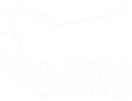 Pegasus Hotel Guyana is a  World Class Wedding Venues Gold Member