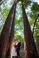 Saratogo Springs is a  World Class Wedding Venues Gold Member