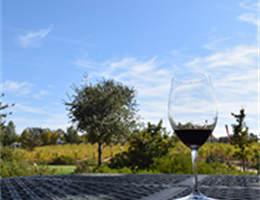 EOS Estate Winery is a  World Class Wedding Venues Gold Member