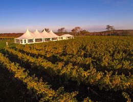 Carolyn's Sakonney Vineyard is a  World Class Wedding Venues Gold Member