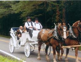 Stepping Stone Ranch is a  World Class Wedding Venues Gold Member