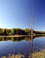 Beartown Lakes Reservation, Geauga is a  World Class Wedding Venues Gold Member
