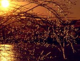 Walter C. Best Preserve, Geauga Park is a  World Class Wedding Venues Gold Member