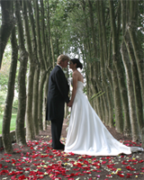 Yew Dell Botanical Gardens is a  World Class Wedding Venues Gold Member