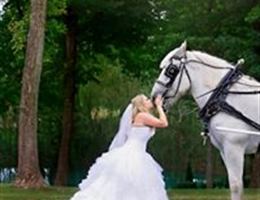 Southern Springs Events is a  World Class Wedding Venues Gold Member