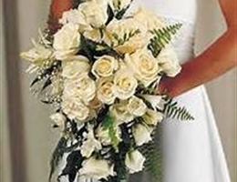 William Tell Banquets at Holiday Inn is a  World Class Wedding Venues Gold Member