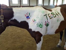 Weddings At Running W Ranch is a  World Class Wedding Venues Gold Member