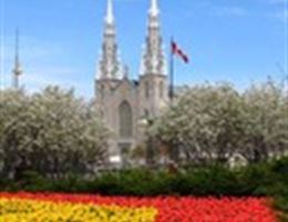 Notre-Dame Cathedral Basilica is a  World Class Wedding Venues Gold Member