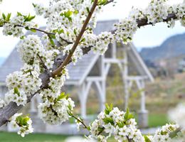 Sanctuary Gardens is a  World Class Wedding Venues Gold Member