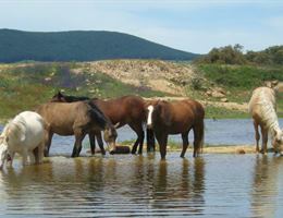 Wirraway Park is a  World Class Wedding Venues Gold Member