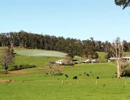 Wines for Joanie is a  World Class Wedding Venues Gold Member