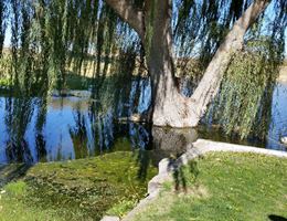 Hobbs Country Club is a  World Class Wedding Venues Gold Member