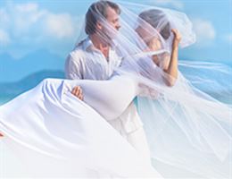 Sugar Bay Club is a  World Class Wedding Venues Gold Member