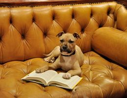 Battery Park Book Exchange and Champagne Bar is a  World Class Wedding Venues Gold Member