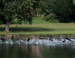 Bed And Breakfast Park 7 is a  World Class Wedding Venues Gold Member