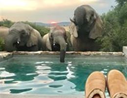 Amakhala Game Reserve - Bukela Game Lodge is a  World Class Wedding Venues Gold Member