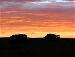 Amakhala Game Reserve - HillsNek Safari Camp is a  World Class Wedding Venues Gold Member