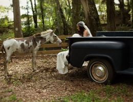 Southern Streams Ranch is a  World Class Wedding Venues Gold Member