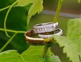 Owl Eye Vineyard and Winery is a  World Class Wedding Venues Gold Member