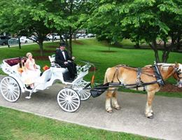 The Iris Room is a  World Class Wedding Venues Gold Member