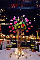 Center Stage at NoDa is a  World Class Wedding Venues Gold Member