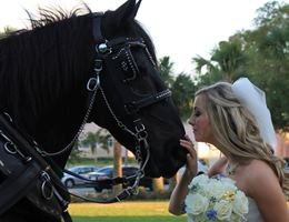 Sago Springs Manor is a  World Class Wedding Venues Gold Member