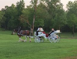 Cove Acre Farms is a  World Class Wedding Venues Gold Member