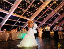 Adler Planetarium is a  World Class Wedding Venues Gold Member