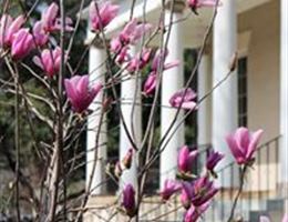 Gardens of the Hampton-Prestion Mansion is a  World Class Wedding Venues Gold Member