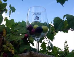 Huffman Vineyards is a  World Class Wedding Venues Gold Member