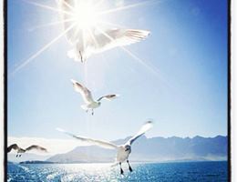 Christian Ministry Entertainment is a  World Class Wedding Venues Gold Member