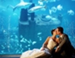 North Carolina Aquarium at Pine Knoll Shores is a  World Class Wedding Venues Gold Member