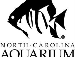 NC Aquarium on Roanoke Island is a  World Class Wedding Venues Gold Member