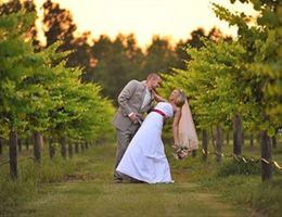 Lu Mil Vineyard is a  World Class Wedding Venues Gold Member