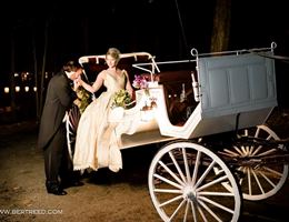 Castle McCulloch Crystal Garden is a  World Class Wedding Venues Gold Member