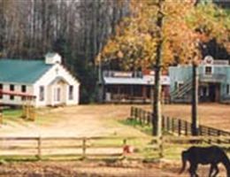 Circle M City is a  World Class Wedding Venues Gold Member