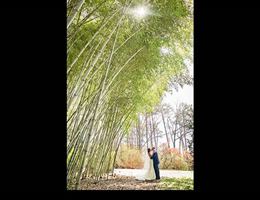 Doris Duke Center Gardens is a  World Class Wedding Venues Gold Member