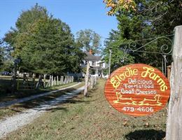 Elodie Farms is a  World Class Wedding Venues Gold Member