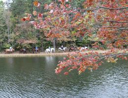 FENCE Foothills Equestrian Nature Center is a  World Class Wedding Venues Gold Member