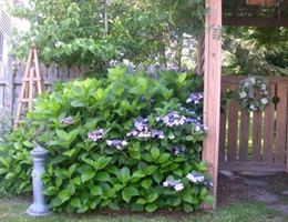 Fuquay Mineral Spring Inn And Garden is a  World Class Wedding Venues Gold Member