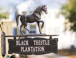 Black Thistle Plantation is a  World Class Wedding Venues Gold Member