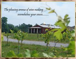 Vizzini Farms Winery is a  World Class Wedding Venues Gold Member