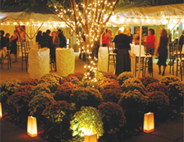 Circuit Center by The Fluted Mushroom is a  World Class Wedding Venues Gold Member