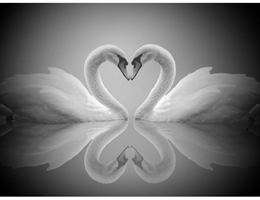 Market Street Ballroom is a  World Class Wedding Venues Gold Member