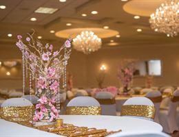 Windsor Ballroom at the Holiday Inn is a  World Class Wedding Venues Gold Member
