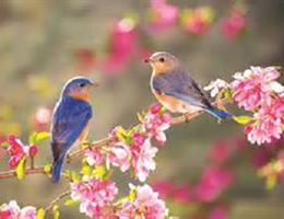 The Spring Lake Manor is a  World Class Wedding Venues Gold Member