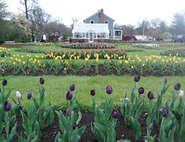 Pond House Cafe is a  World Class Wedding Venues Gold Member