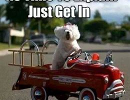 Aetna Banquet Hall is a  World Class Wedding Venues Gold Member